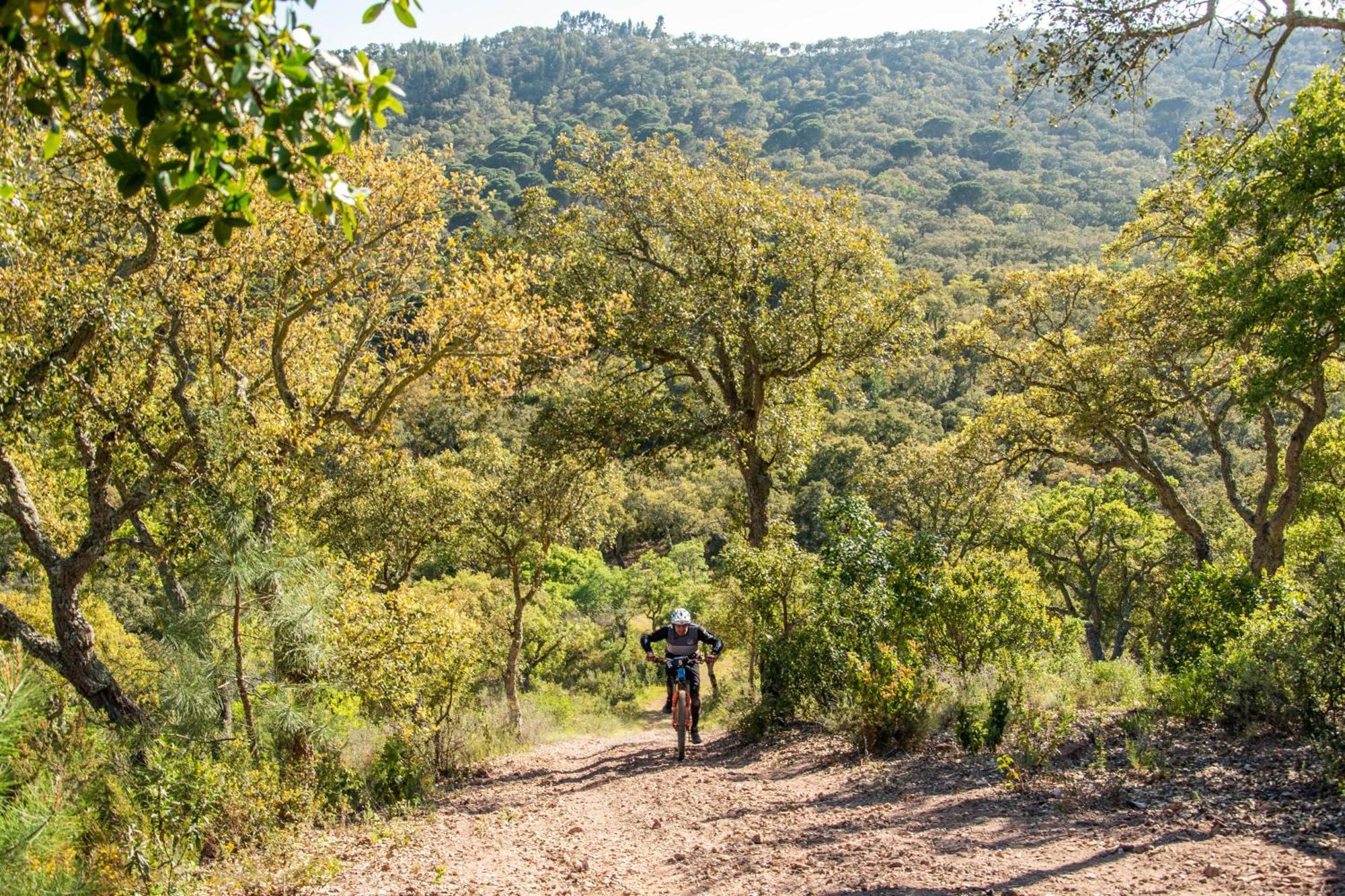 Herdade das Barradas da Serra Grândola Exterior foto