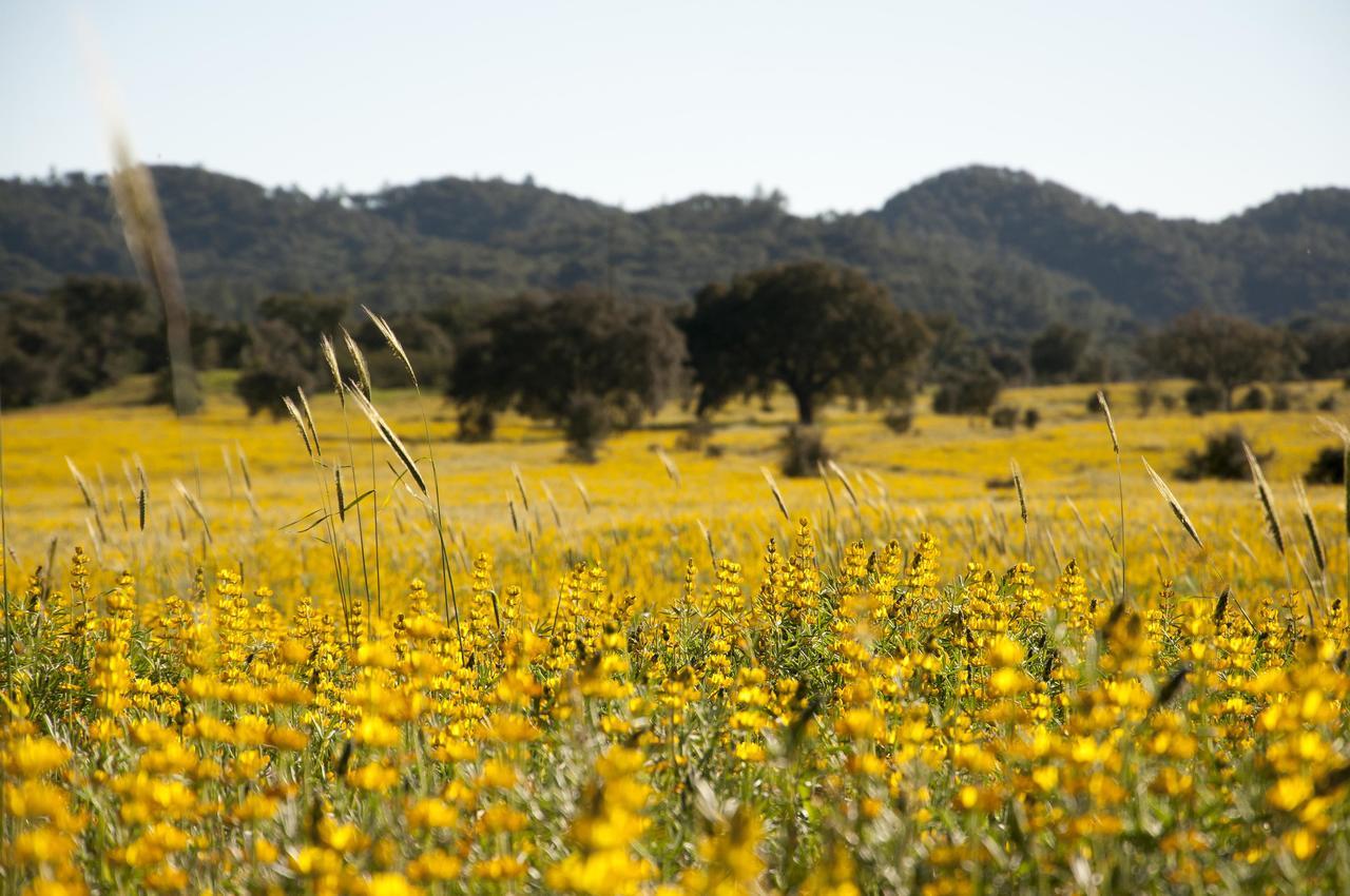 Herdade das Barradas da Serra Grândola Exterior foto