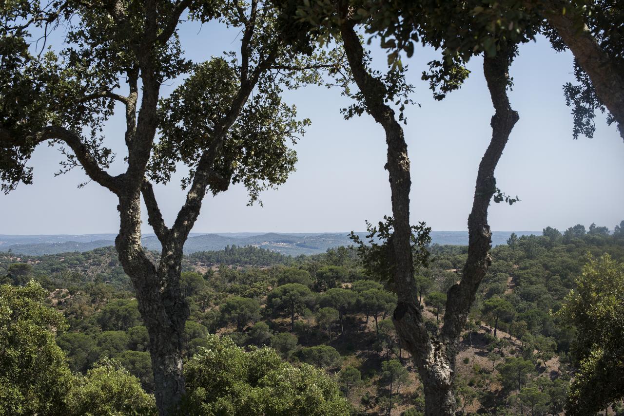 Herdade das Barradas da Serra Grândola Exterior foto